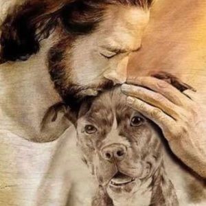 Meet your Posher, Sandy